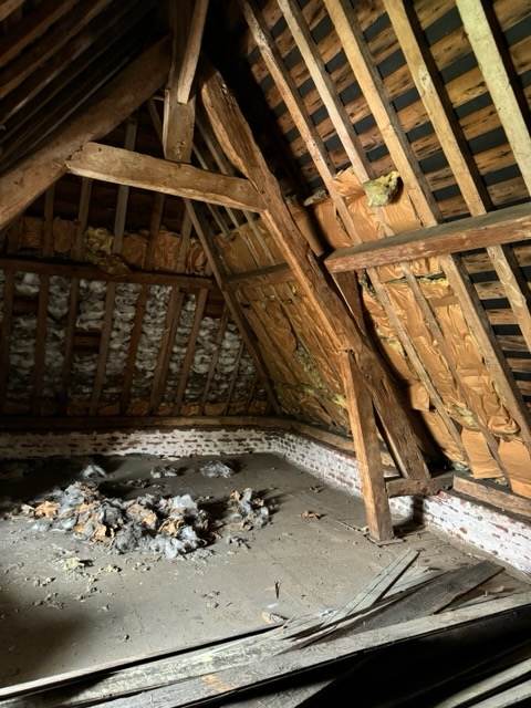 rénovation